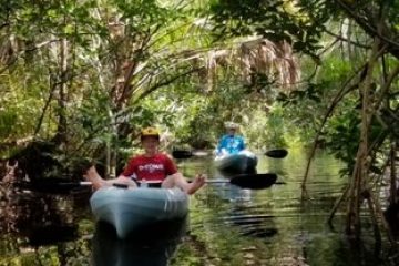 a vase filled with water next to a tree