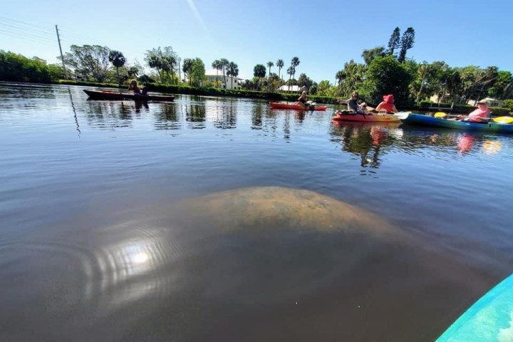 a small boat in a body of water